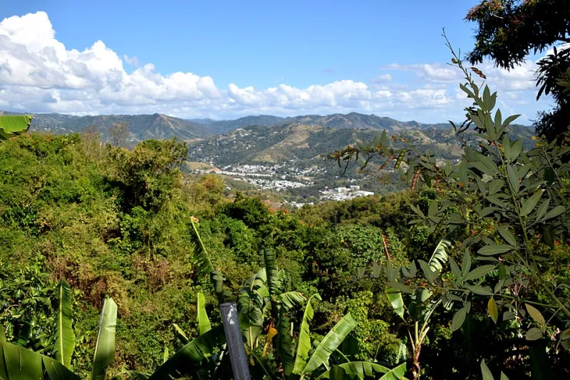 Altitude on Your Plate: How Puerto Rico's Terrain Decides Every Bite You Take