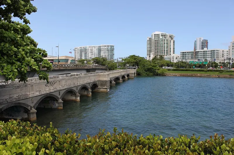 Cane Fields to Canopy: The Quiet Revolution Reshaping Puerto Rico's Land
