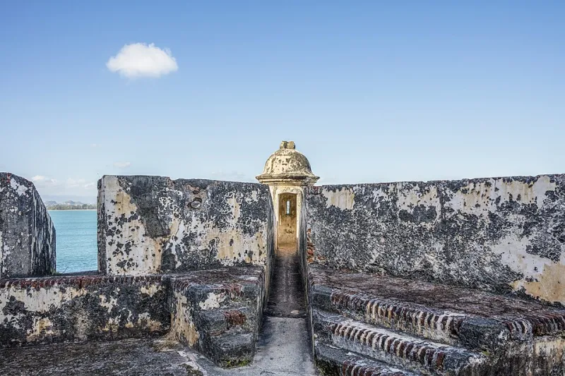 Small Island, Enormous Life: The Science Behind Puerto Rico's Staggering Biodiversity